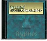 Bild Visualisera med alla sinnen (CD), Sundvall Jörgen