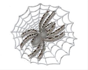 Bild Silver Spider - 18x17