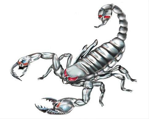 Bild Silver Scorpion - 11x10