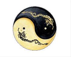 Bild Ying Yang - CarTattoo