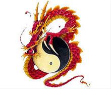 Bild Ying & Yang Dragon - CarTattoo