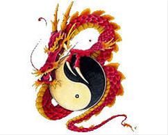 Bild Ying & Yang Dragon - CarTattoo