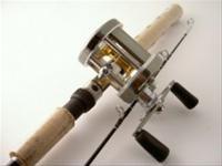 Bild Daiwa Proteus Jerkset 6,6