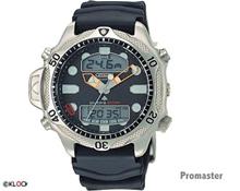 Bild Citizen Aqualand II JP1010-00E