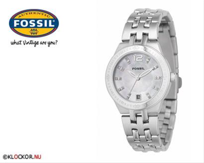 Bild Fossil AM4082