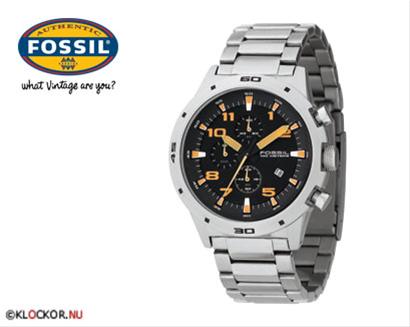 Bild Fossil CH2519