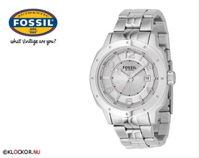 Bild Fossil AM4205