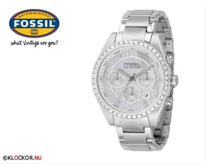 Bild Fossil CH2542