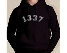 Bild 1337 Hoody - L