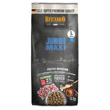 Bild Ekonomipack: 2 påsar Belcando torrfoder för hund Junior Maxi (2 x 12,5 kg)