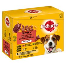 Bild Pedigree Adult Pouch Multipack - Ekonomipack: Sauce 48 x 100 g