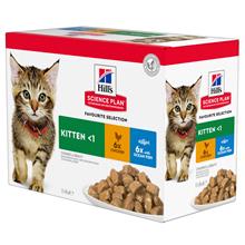 Bild Hill's Science Plan Kitten Tuna Komplettering: 12 x 85 g Hill's Science Plan Kitten Fish Selection