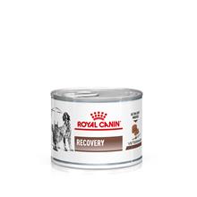 Bild Royal Canin Veterinary Feline Recovery -  Ekonomipack: 48 x 195 g