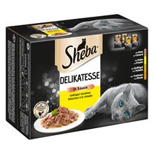 Bild Ekonomipack: 48 x 85 g Sheba portionspåsar Delicatesse in Sauce Fjäderfä