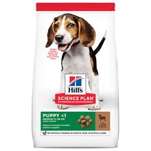 Bild Hill's Science Plan Puppy <1 Medium Lamb & Rice 14 kg