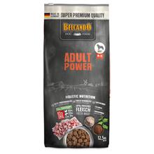 Bild Ekonomipack: 2 påsar Belcando torrfoder för hund Adult Power (2 x 12,5 kg)