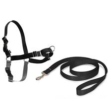 Bild PetSafe Easy Walk Harness hundsele - Stl. M: bröstomfång 51 - 71 cm