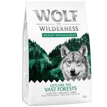 Bild Wolf of Wilderness 