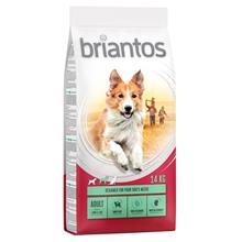 Bild Briantos Adult Lamm & ris - 1 kg