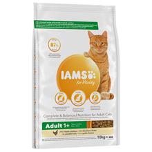 Bild Ekonomipack: IAMS torrfoder för katter 2 x 10 kg - Vitality Adult Chicken (2 x 10 kg)