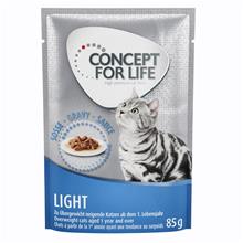 Bild Concept for Life Light Adult - förbättrad formel! - Som tillskott: 12 x 85 g Concept for Life Light i sås