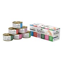 Bild Ekonomipack: Schesir i gelé 24 x 85 g - Blandpack: Kyckling & tonfisk i gelé, 6 sorter