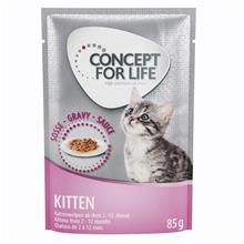 Bild 36 + 12 på köpet! Concept for Life våtfoder 48 x 85 g - Kitten i sås