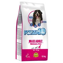 Bild Forza 10 Maxi Maintenance med fisk - Ekonomipack: 2 x 15 kg