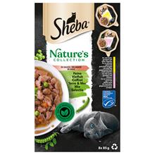 Bild Sheba Nature's Collection in Sauce 32 x 85 g - Fin mångfald