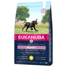 Bild Eukanuba Puppy Large Breed Chicken - 3 kg