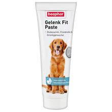 Bild beaphar Joint Fit Paste för lederna - 250 g