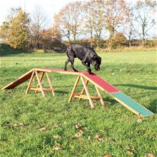 Bild Trixie Dog Activity Agility balanshinder - L 456 x B 30 x H 64 cm