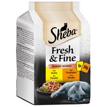 Bild Sheba Fresh & Fine 6 x 50 g - Kyckling + Kalkon i sås