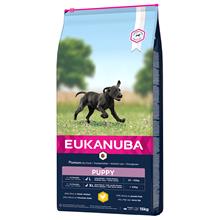 Bild Eukanuba Puppy Large Breed Chicken - Ekonomipack: 2 x 15 kg