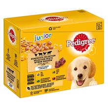 Bild Pedigree Junior Pouch Multipack - Ekonomipack: 48 x 100 g