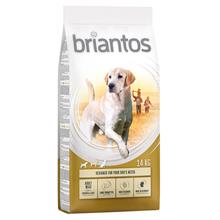 Bild Briantos Adult Maxi - 4 x 1 kg