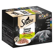 Bild Ekonomipack: Sheba 144 x 85 g portionsform - Sauce Lover