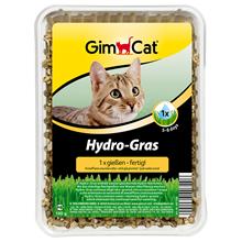 Bild GimCat Hydro-Gras 150 g - Ekonomipack: 3 x 150 g