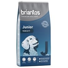 Bild Briantos Junior Young & Fit - 14 kg