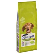 Bild Ekonomipack: 2 x 14 kg Purina Dog Chow torrfoder - Adult Lamb & Rice (2 x 14 kg)