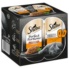 Bild Ekonomipack: Sheba Perfect Portions 48 x 37,5 g - Delicious Sauce Kalkon