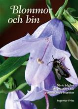 Bild Blommor och bin : din trädgård - ett matbord för pollinerande insekter