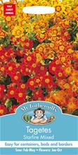 Bild Liten tagetes 'Starfire' mix, frö