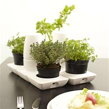 Bild Minigarden Basic S, Vit