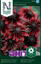 Bild Sommarrudbeckia 'Cherry Brandy' frö