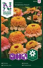 Bild Zinnia 'Zinderella Peach' frö