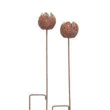 Bild Värmeljushållare 'Tulpan' H60cm