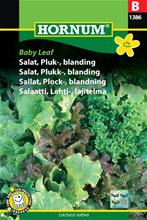 Bild Plocksallat Mix 'Baby Leaf' frö