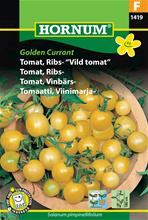 Bild Vinbärstomat (Vildtomat) 'Golden Currant', frö