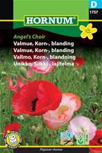 Bild Kornvallmo Angel's Choir mix, frö